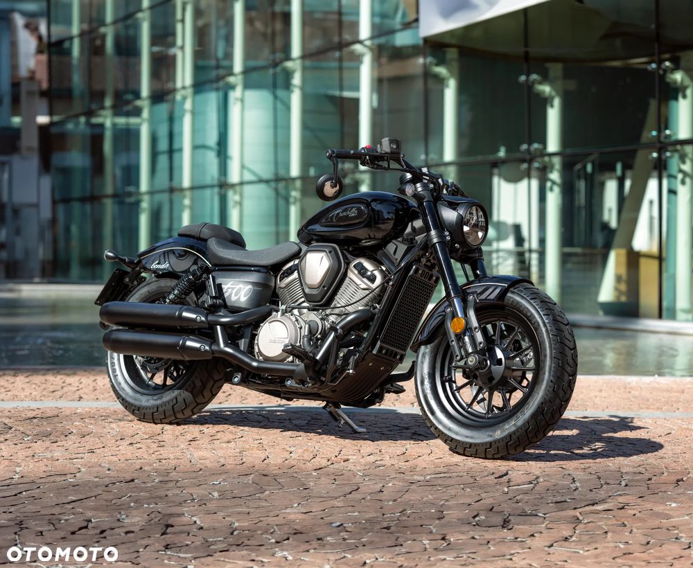 Benda Chinchilla 500 - 9