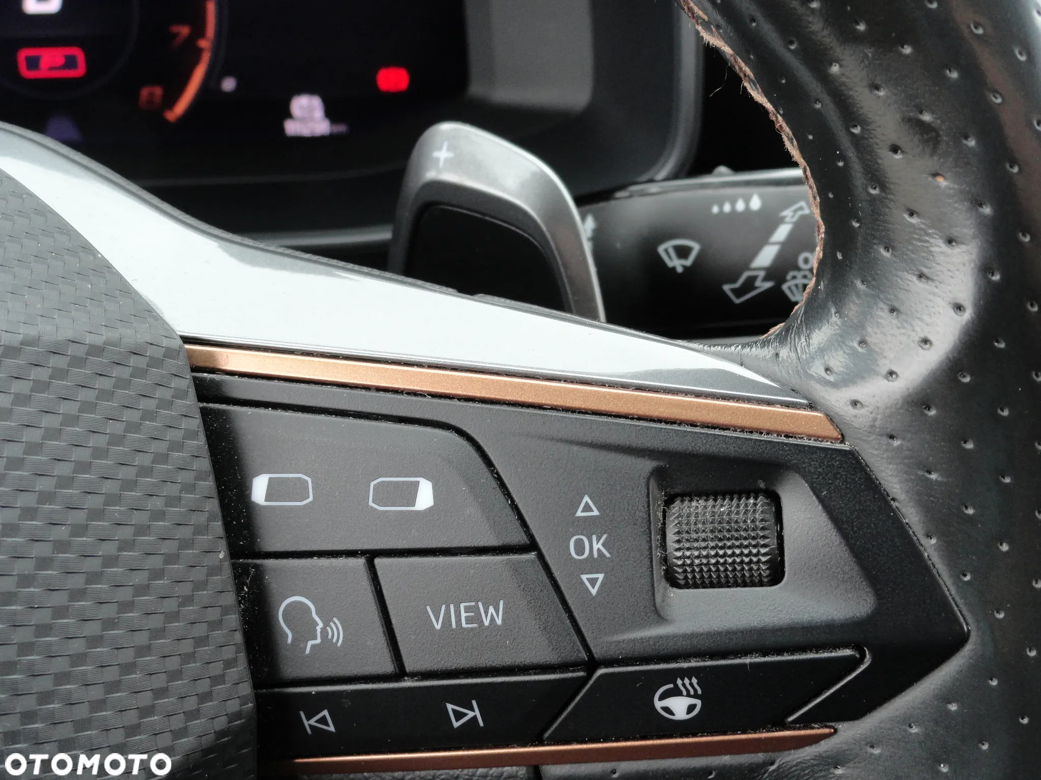 Cupra Formentor 1.5 TSI DSG Tribe Edition - 24