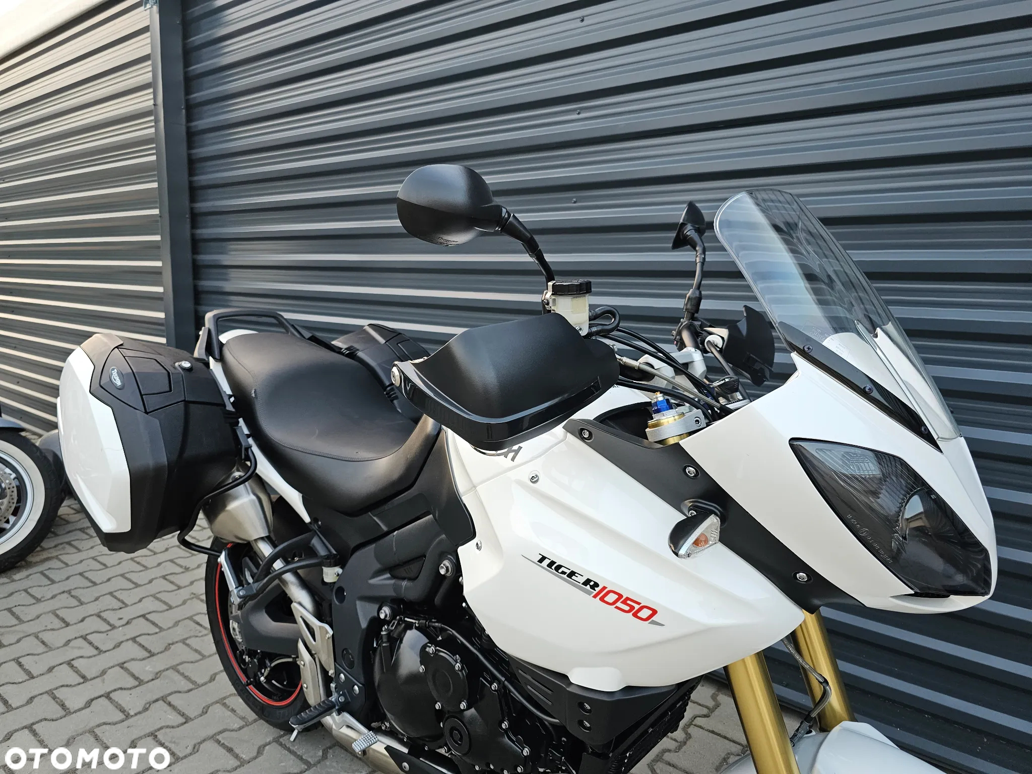 Triumph Tiger - 7