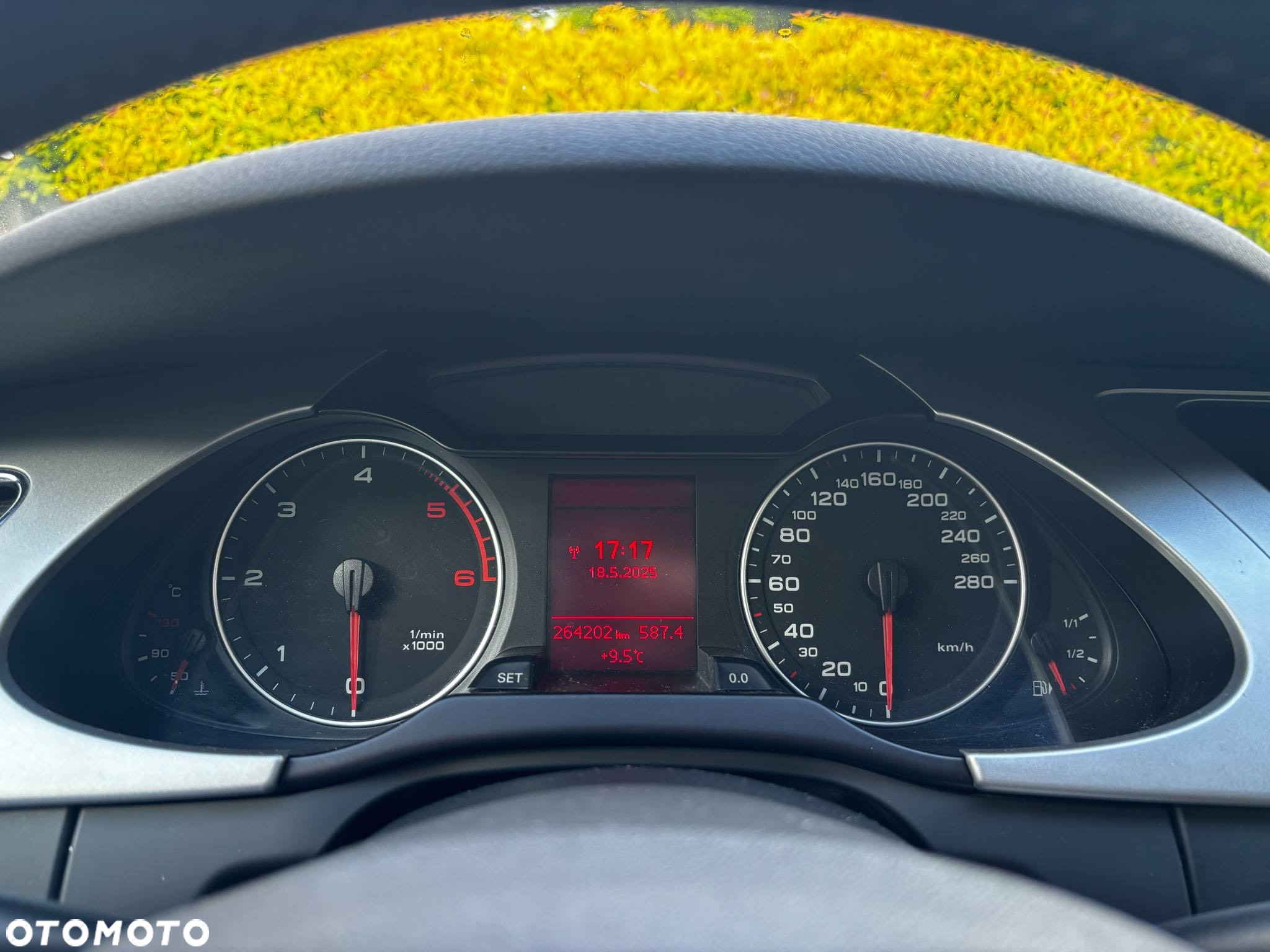 Audi A4 - 15