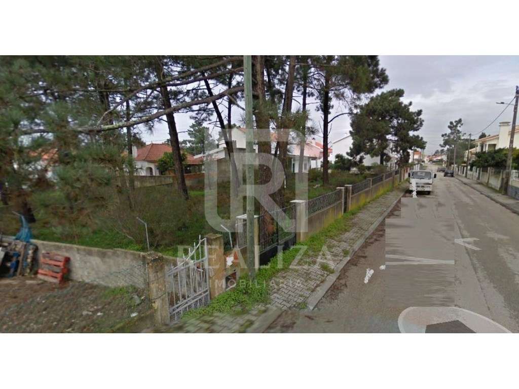 Lote de terreno em avos na Flor da Mata - Pinhal de Frades - Grande imagem: 2/4