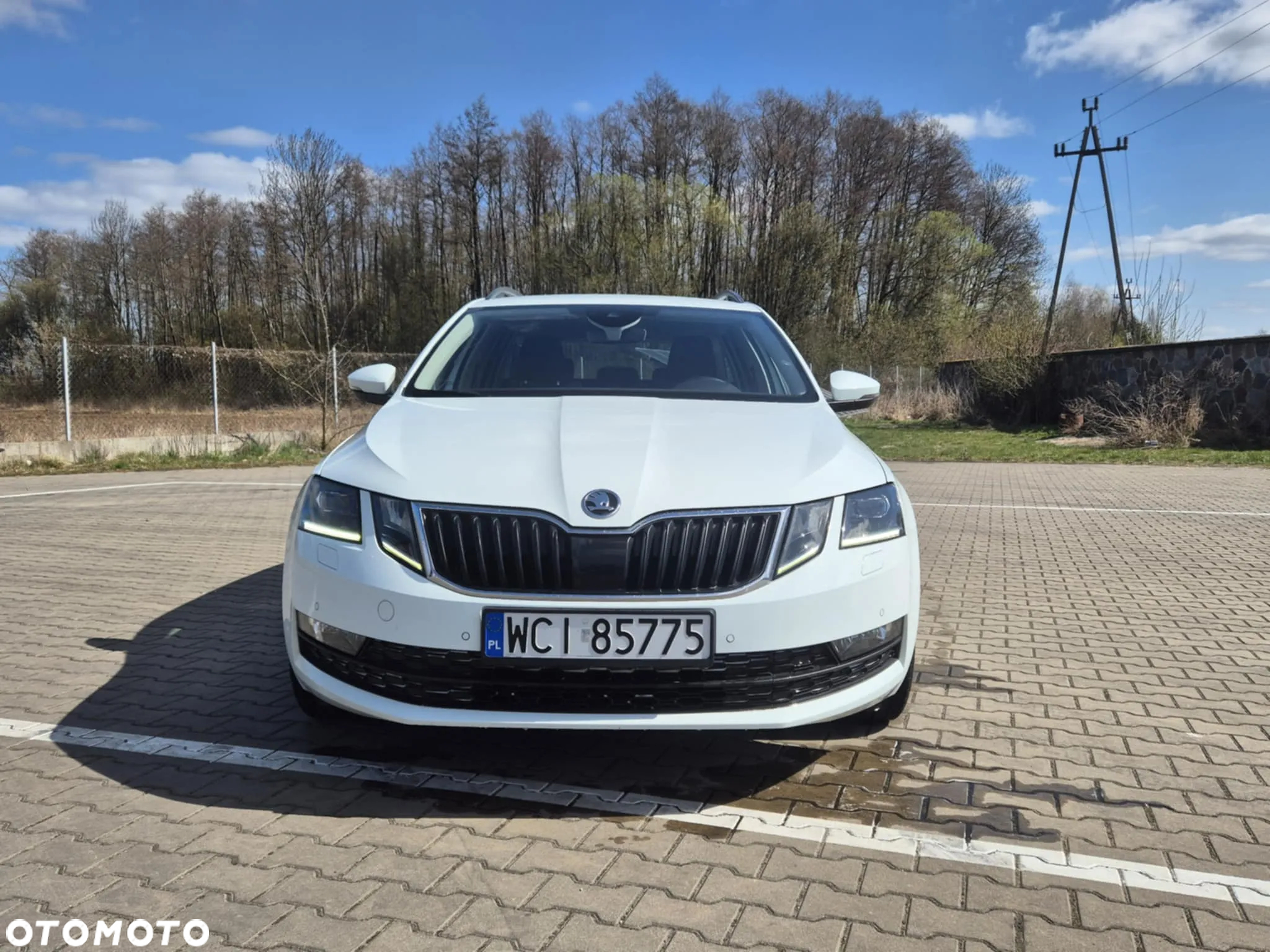 Skoda Octavia 1.6 TDI DSG Clever - 3