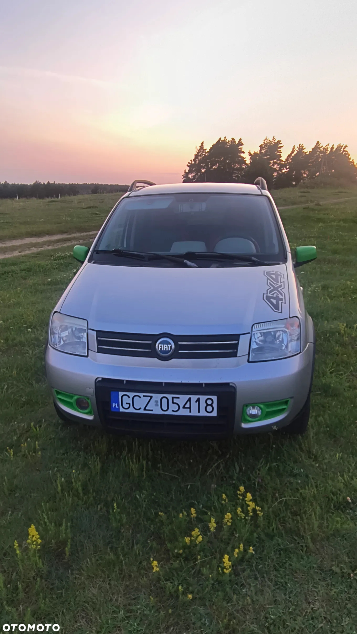 Fiat Panda 1.2 4x4 Climbing - 12