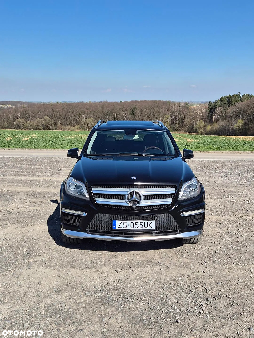 Mercedes-Benz GL 500 4Matic (BlueEFFICIENCY) 7G-TRONIC - 8