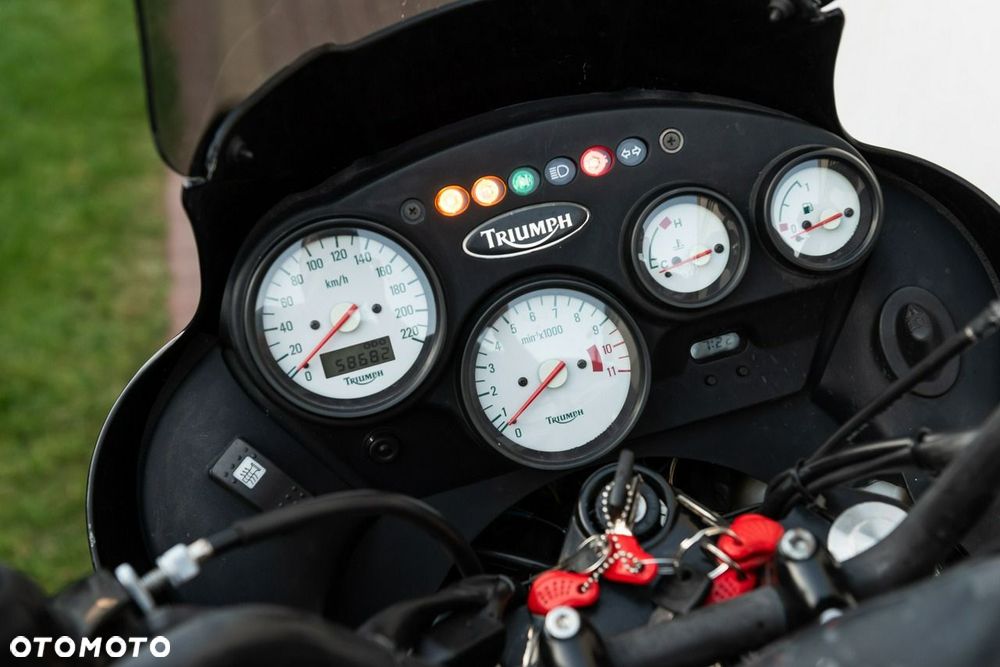 Triumph Tiger - 11