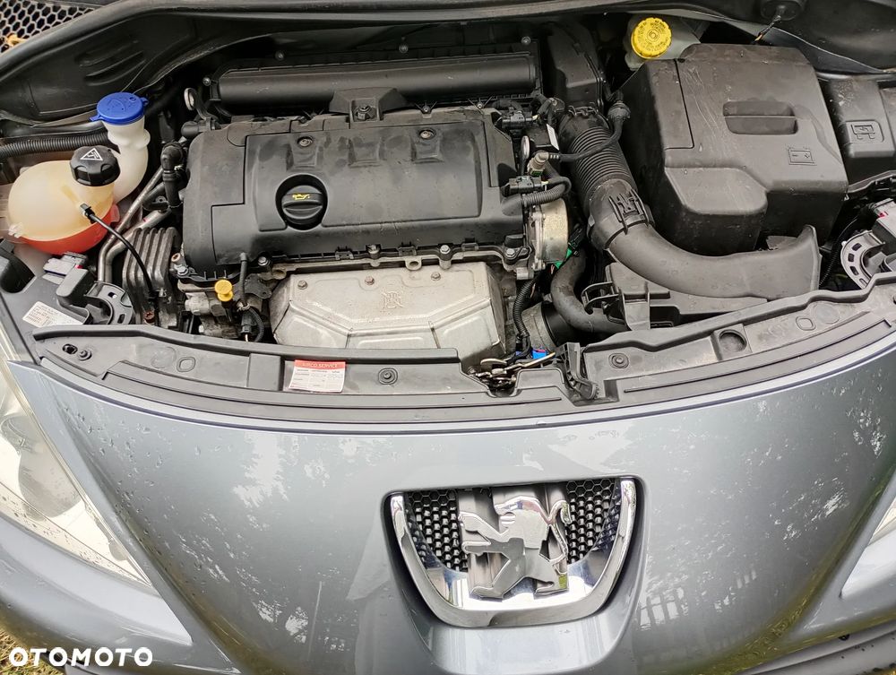 Peugeot 207 - 13