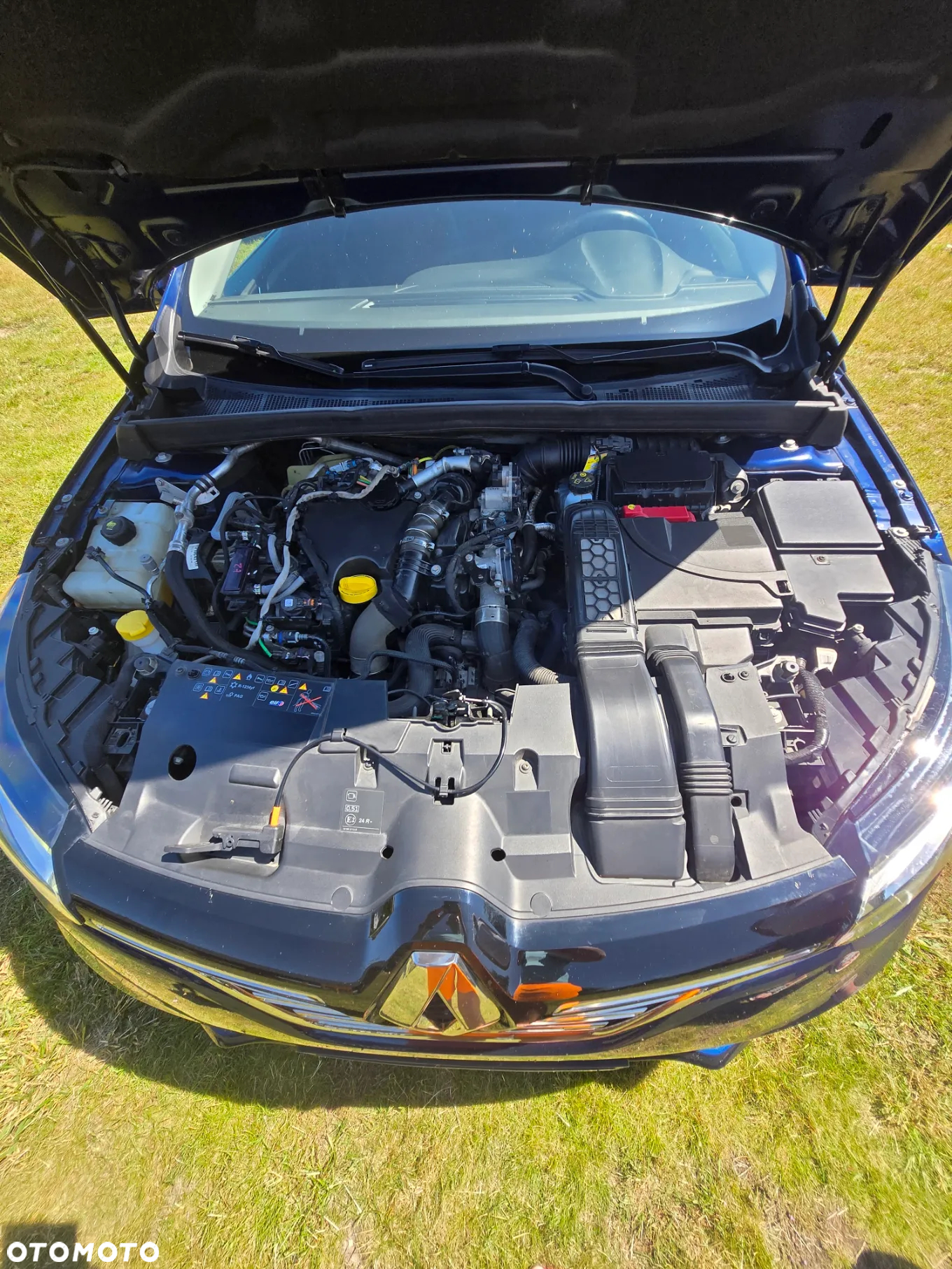 Renault Megane - 16