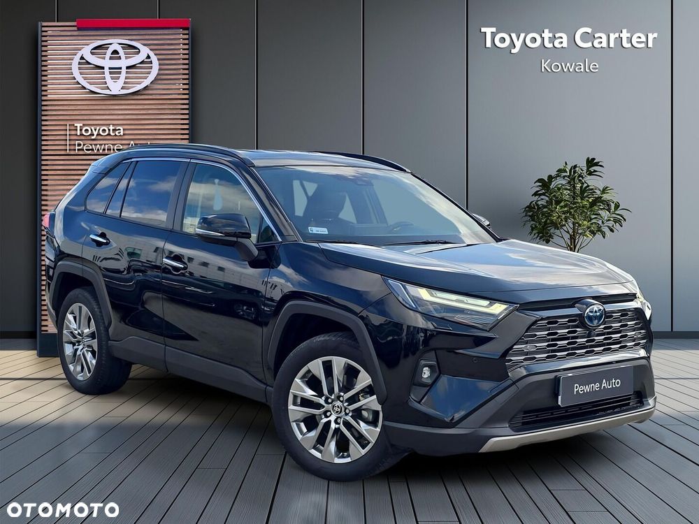 Toyota RAV4 2.5 Hybrid Executive 4x2 - 8