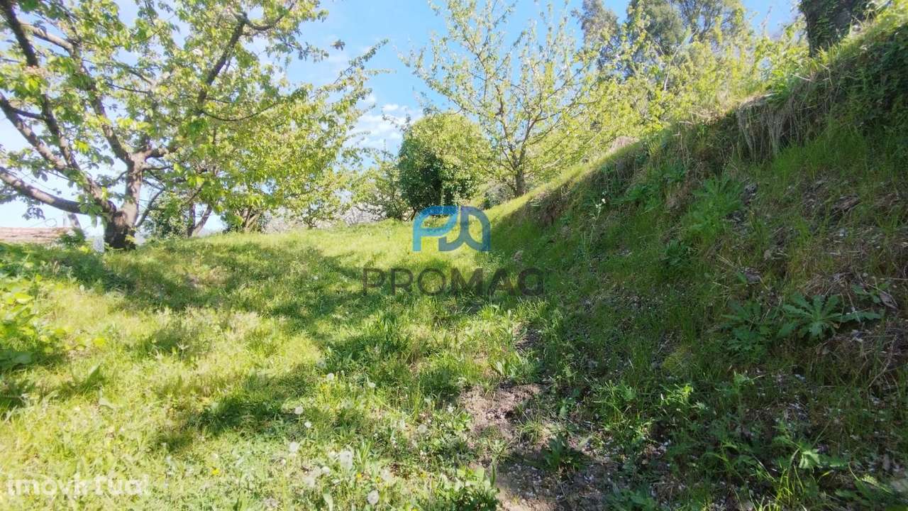 Quinta do Valado- Excelente Investimento em Resende - Grande imagem: 3/58