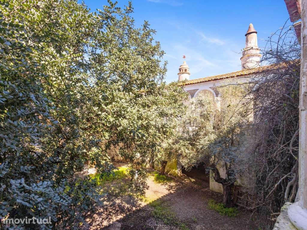 Casa Senhorial no coração de Reguengos de Monsaraz - Grande imagem: 4/25