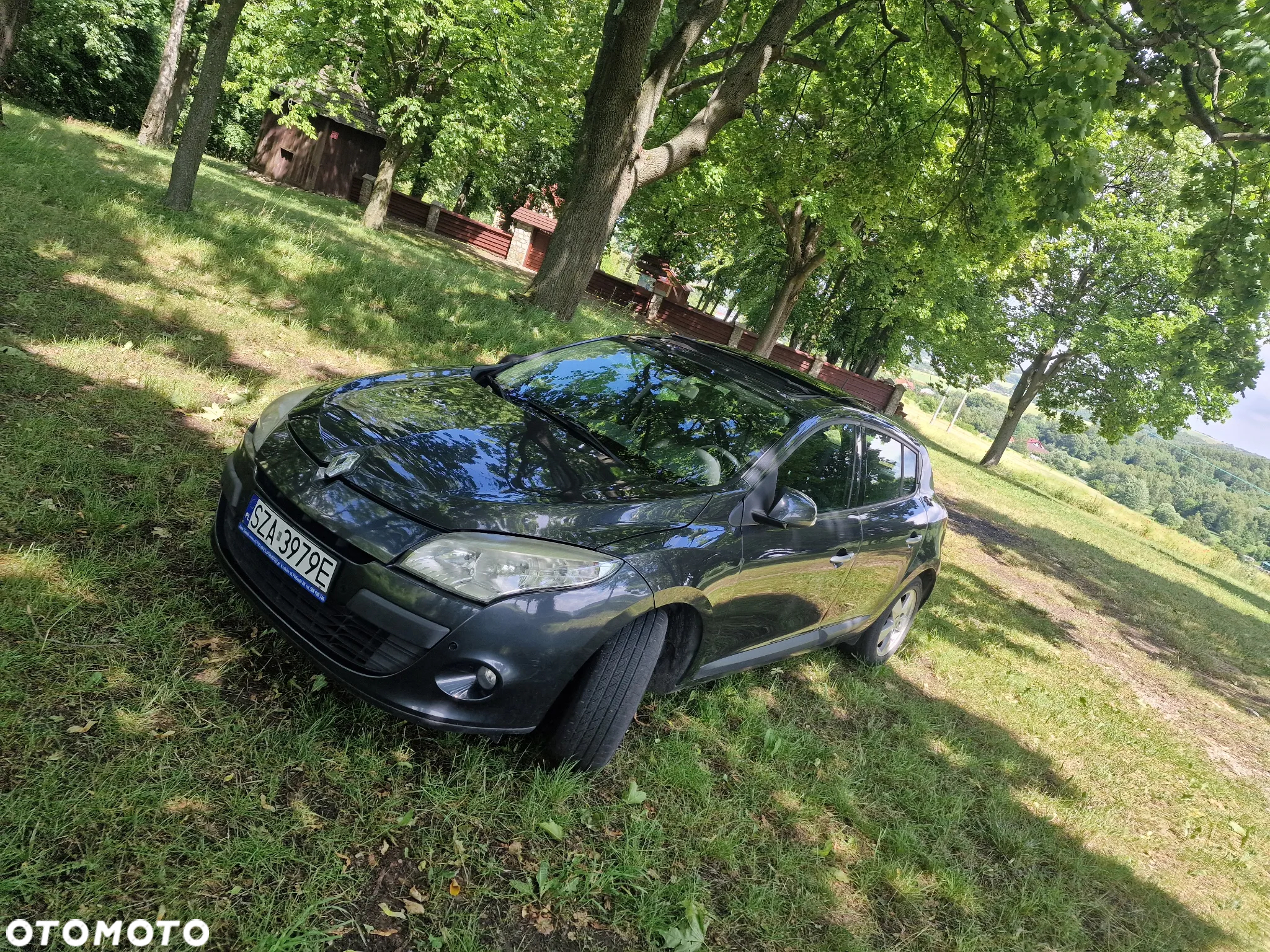 Renault Megane - 13