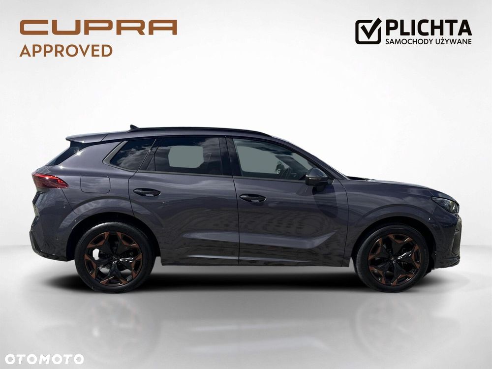Cupra Terramar - 7