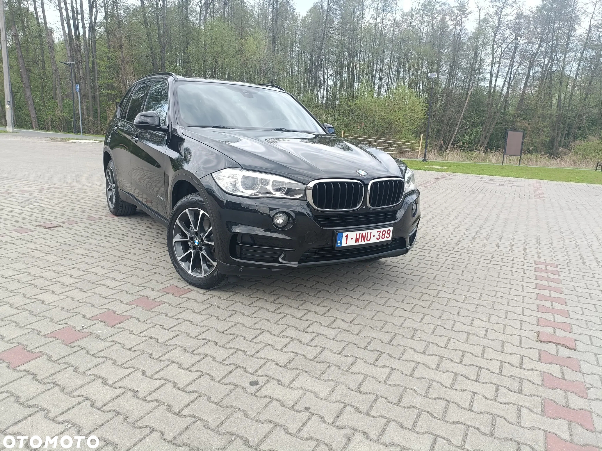 BMW X5 xDrive25d Sport-Aut - 13