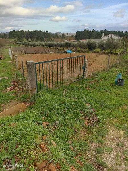 Terreno agrícola, casa, furo água, Alverca da Beira - Pinhel - Grande imagem: 3/12