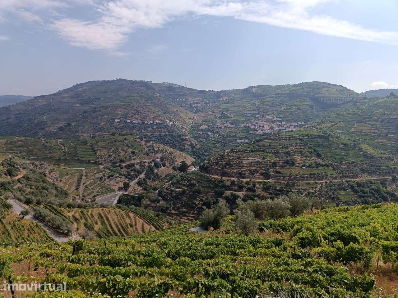 VINHA NA REGIÃO DEMARCADA DO DOURO - Grande imagem: 5/8