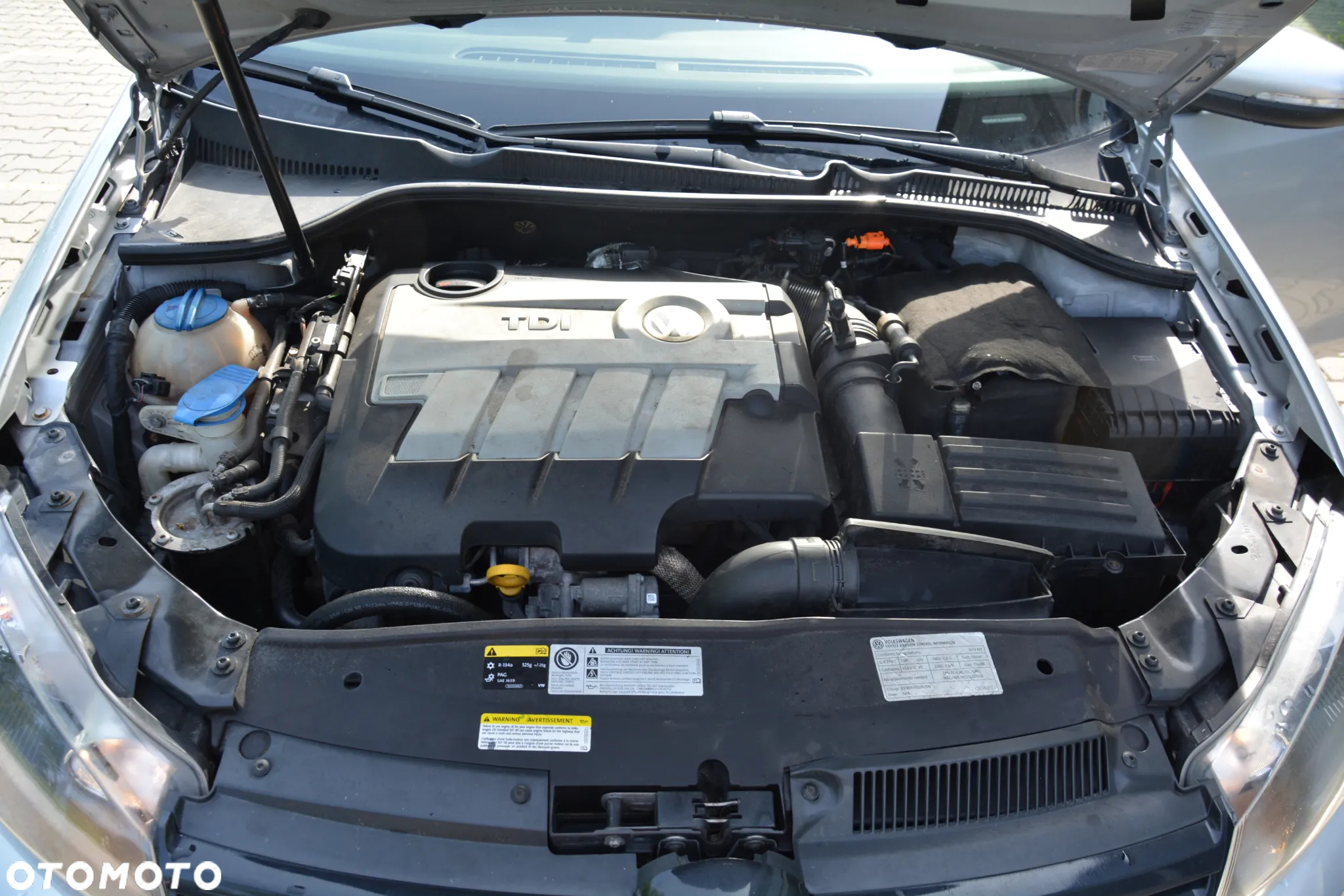 Volkswagen Golf - 21