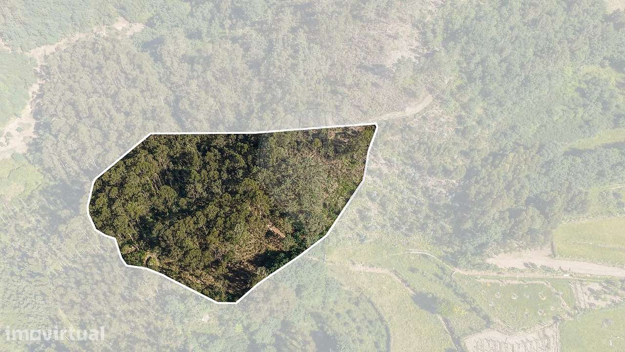 Terreno  para venda - Grande imagem: 2/20