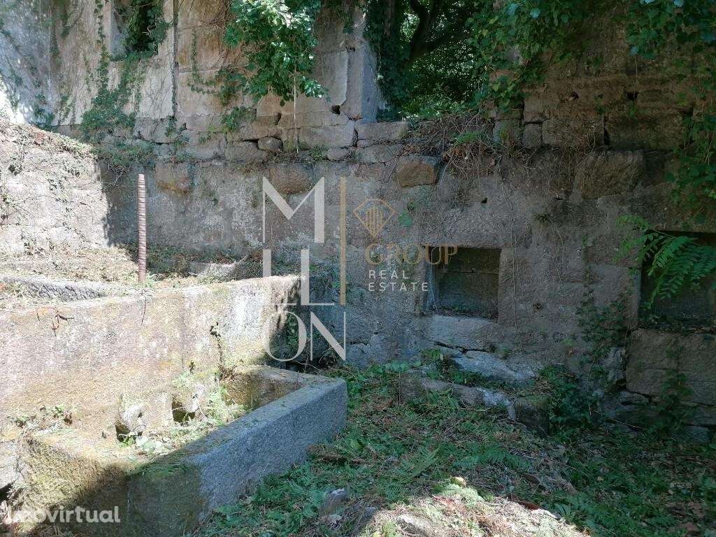 Propriedade próxima da Albufeira da Pala, no rio Douro, Marco de Canav - Grande imagem: 4/8