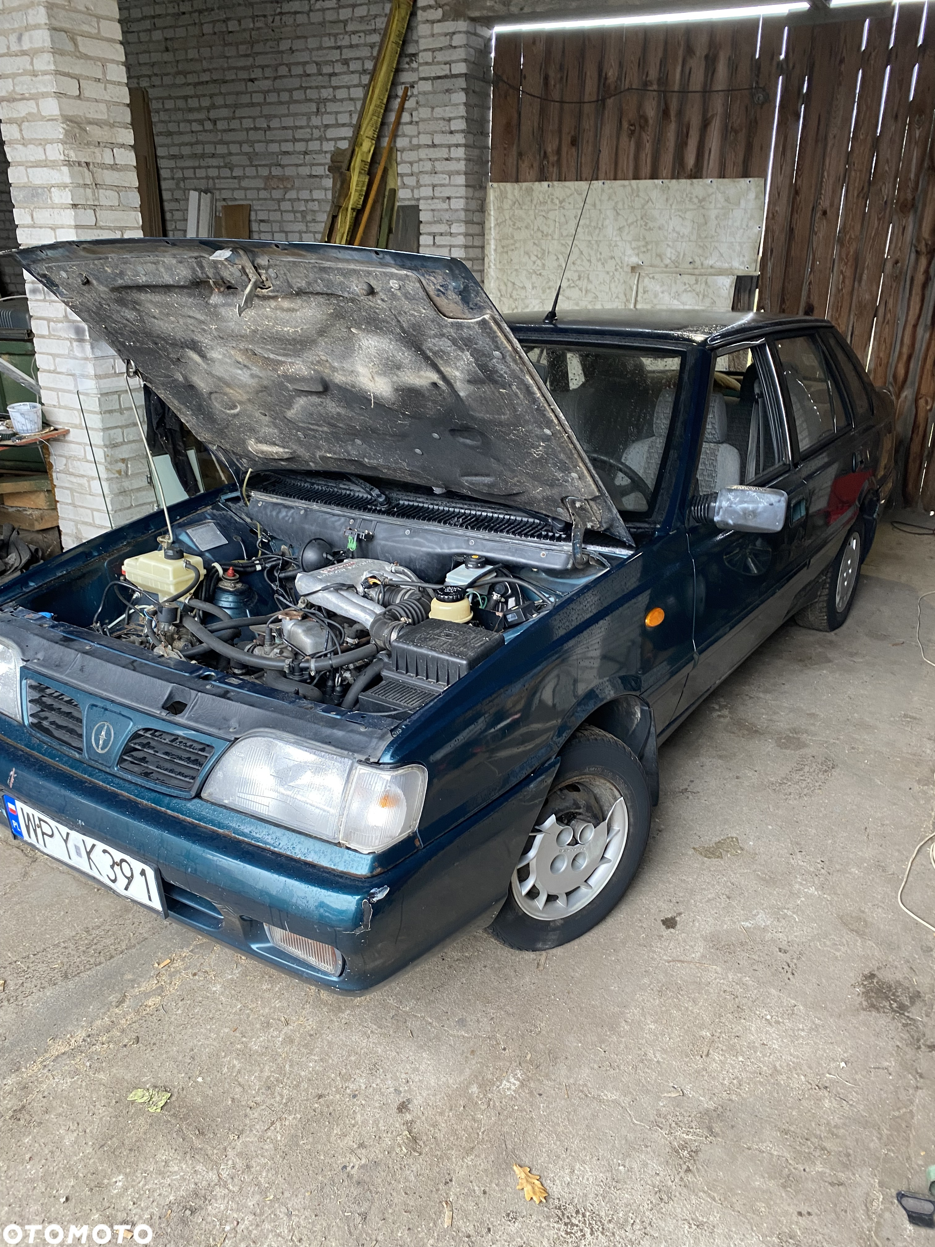 Polonez Atu - 6