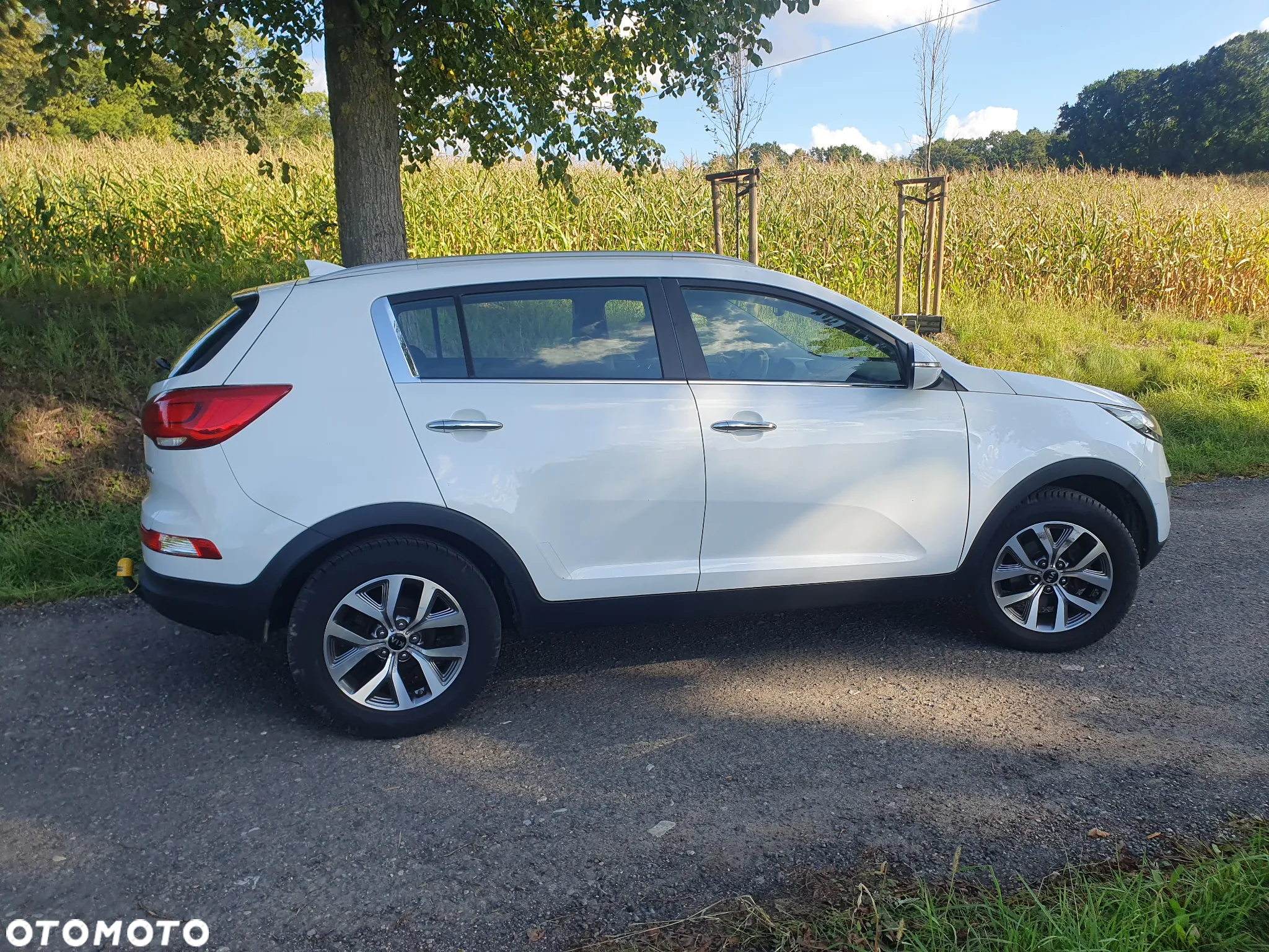 Kia Sportage 1.6 GDI Business Line 2WD - 22