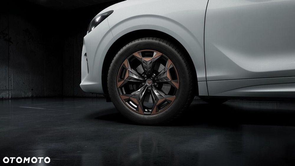 Cupra Terramar 2.0 TSI 4Drive DSG - 6