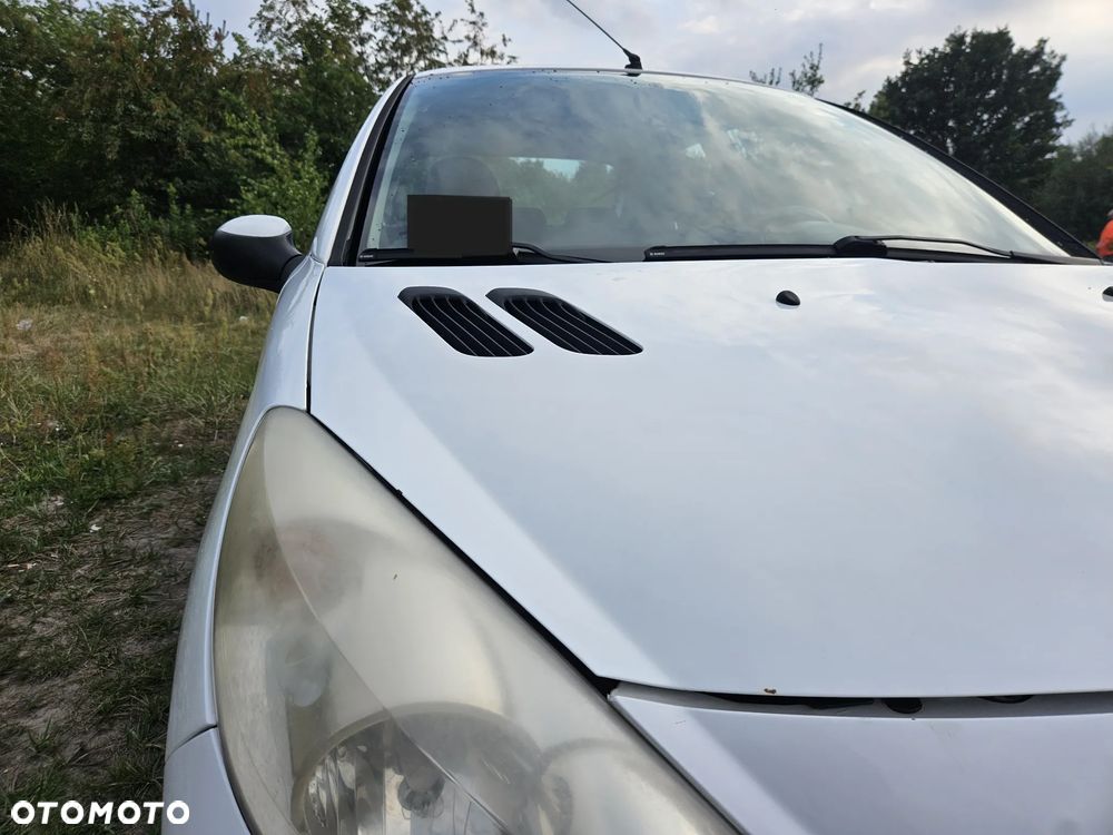 Peugeot 206 plus 75 - 9