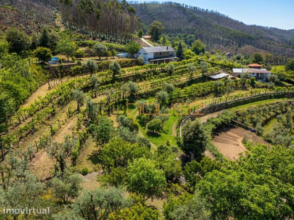 Quinta agrícola - 40 minutos do Porto - Grande imagem: 2/59