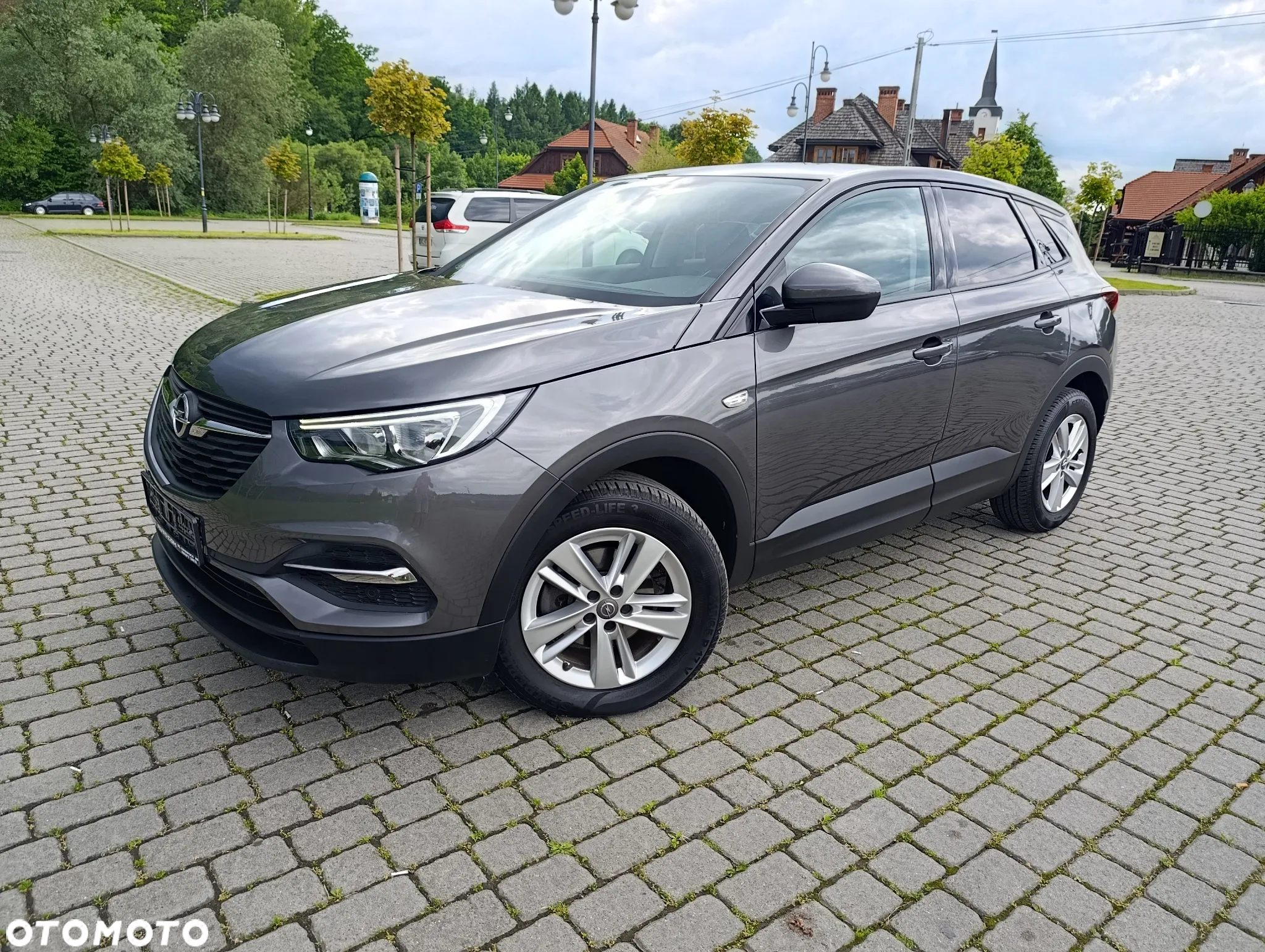 Opel Grandland X 1.5 CDTI Edition Business Pack S&S - 2