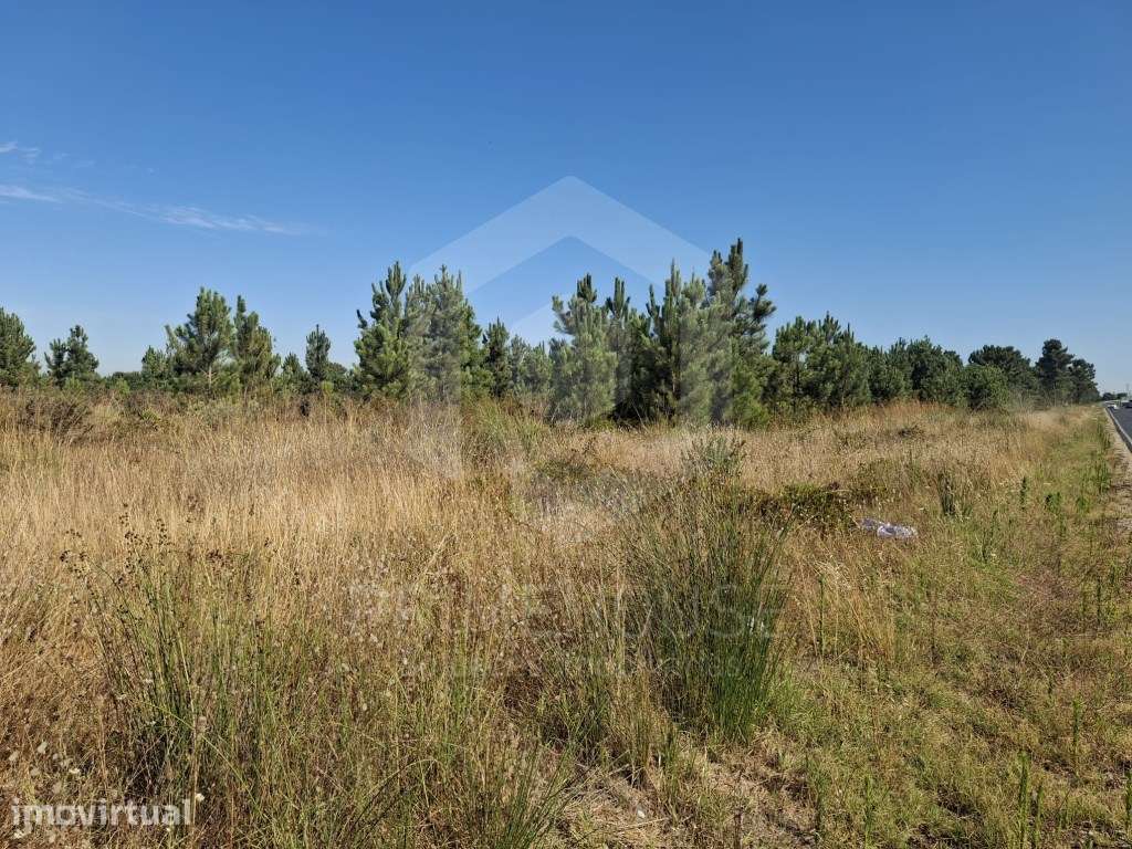 Terreno Agrícola com 191.590 m² à Venda - Poceirão, Palmela - Grande imagem: 5/22