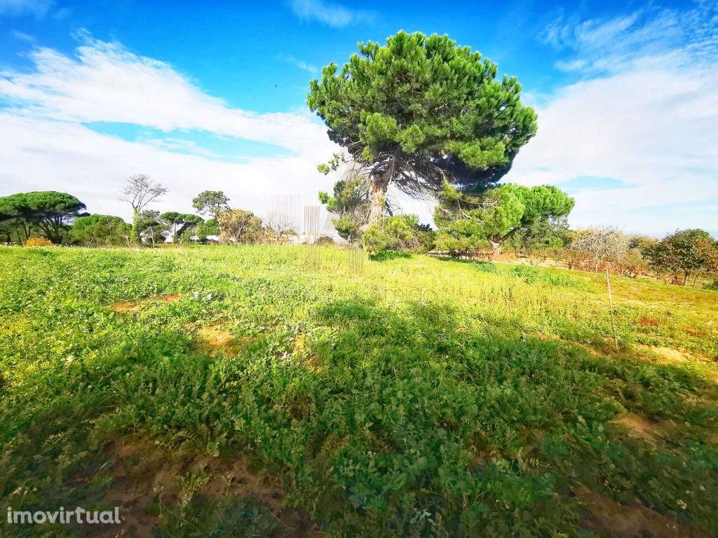 Oportunidade - Terreno em Aldeia do Meco - Grande imagem: 4/11