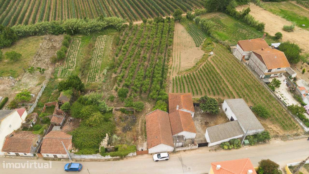 Terreno misto com 2.573 m² | Barrocalvo, Carvalhal - Grande imagem: 2/12