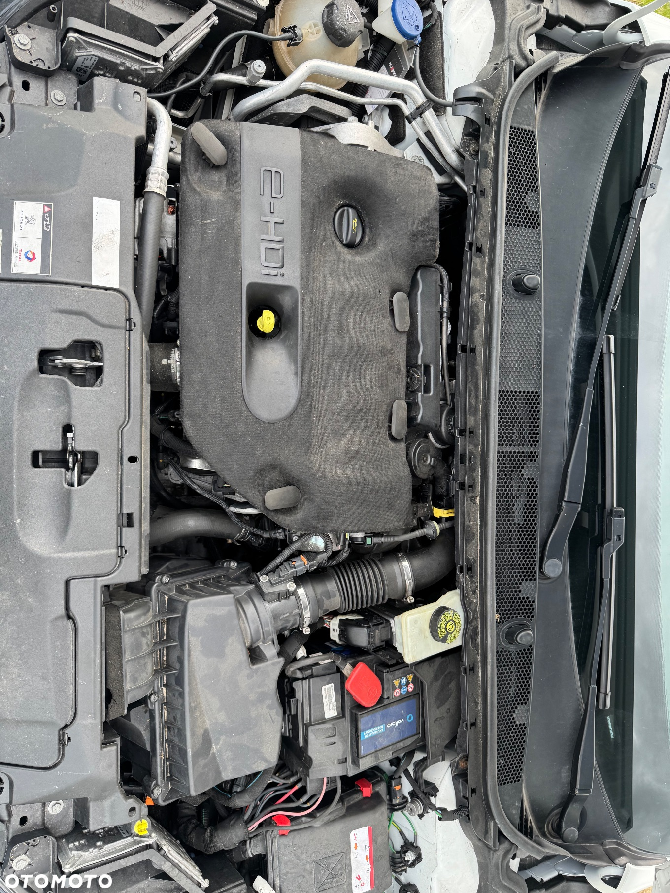 Peugeot 308 BlueHDi FAP 150 Stop&Start GT-Line Edition - 28