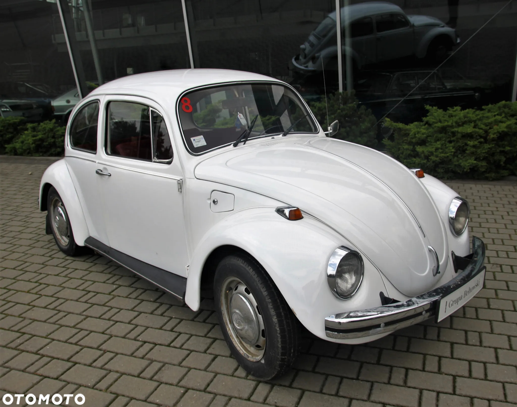 Volkswagen Garbus - 3