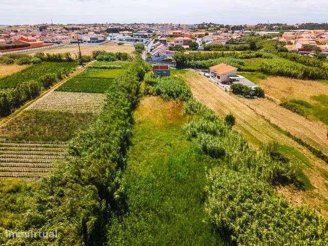 Moradia T2 por Concluir c/ Terreno Amplo - Grande imagem: 4/31