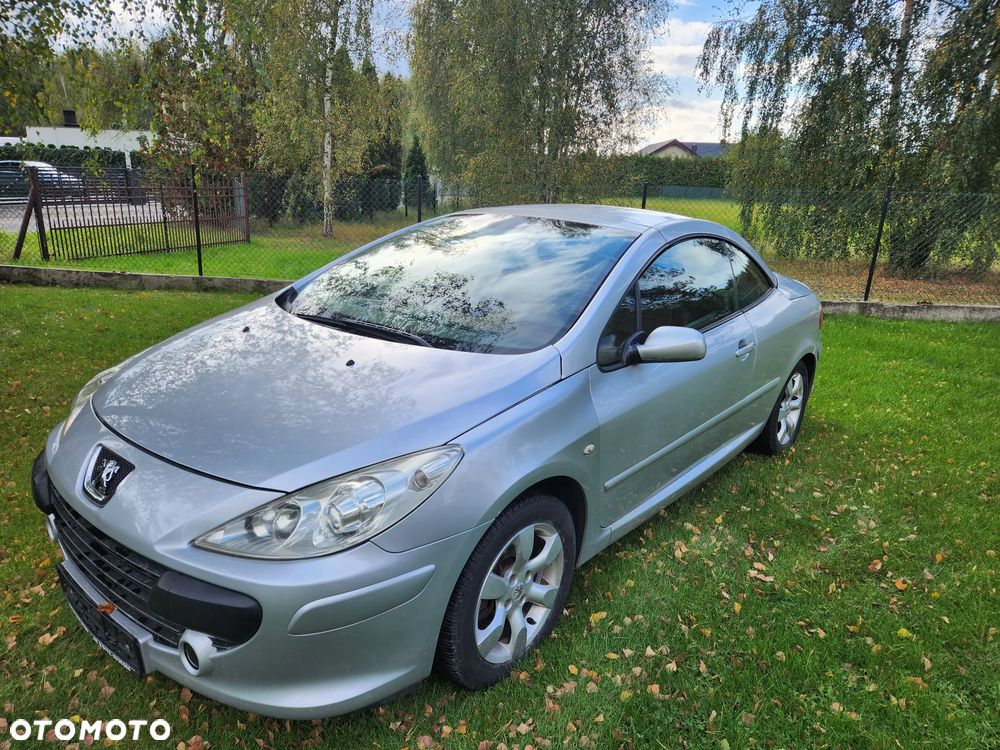 Peugeot 307 2007 photo 4