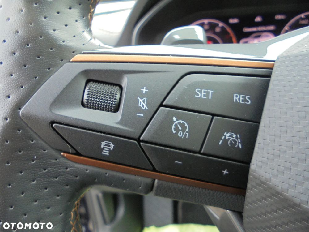 Cupra Formentor 1.5 TSI DSG Tribe Edition - 20
