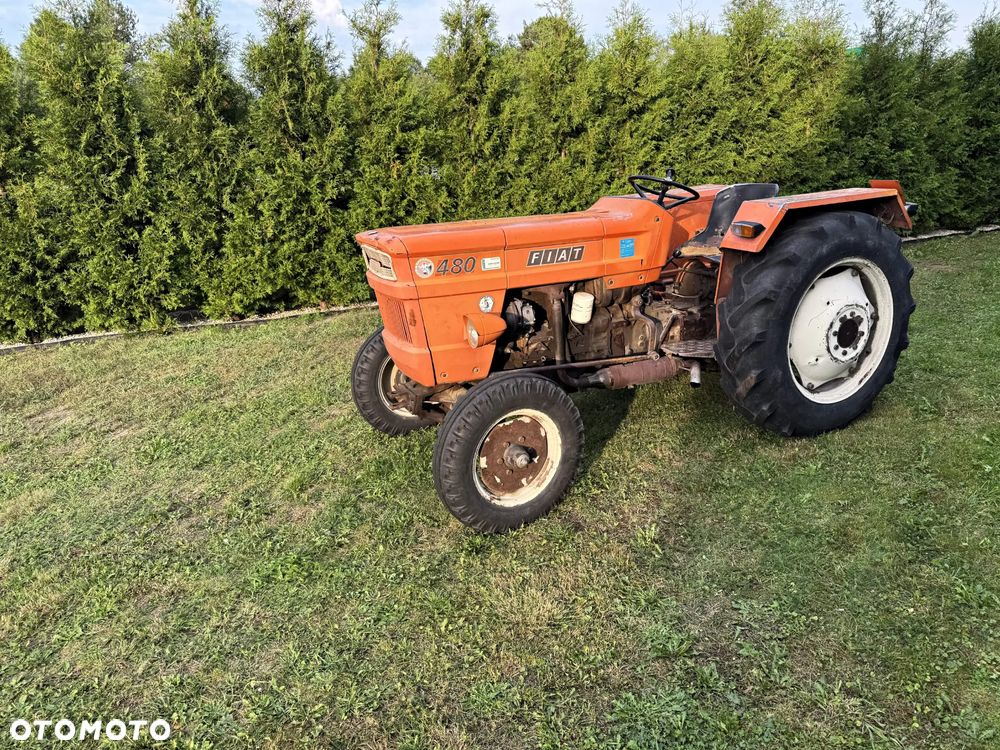 Fiat 480 - 2
