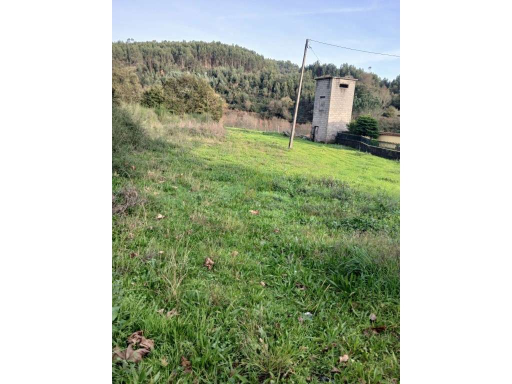Terreno para construção com 2300m2 - Rendufinho - Grande imagem: 3/22