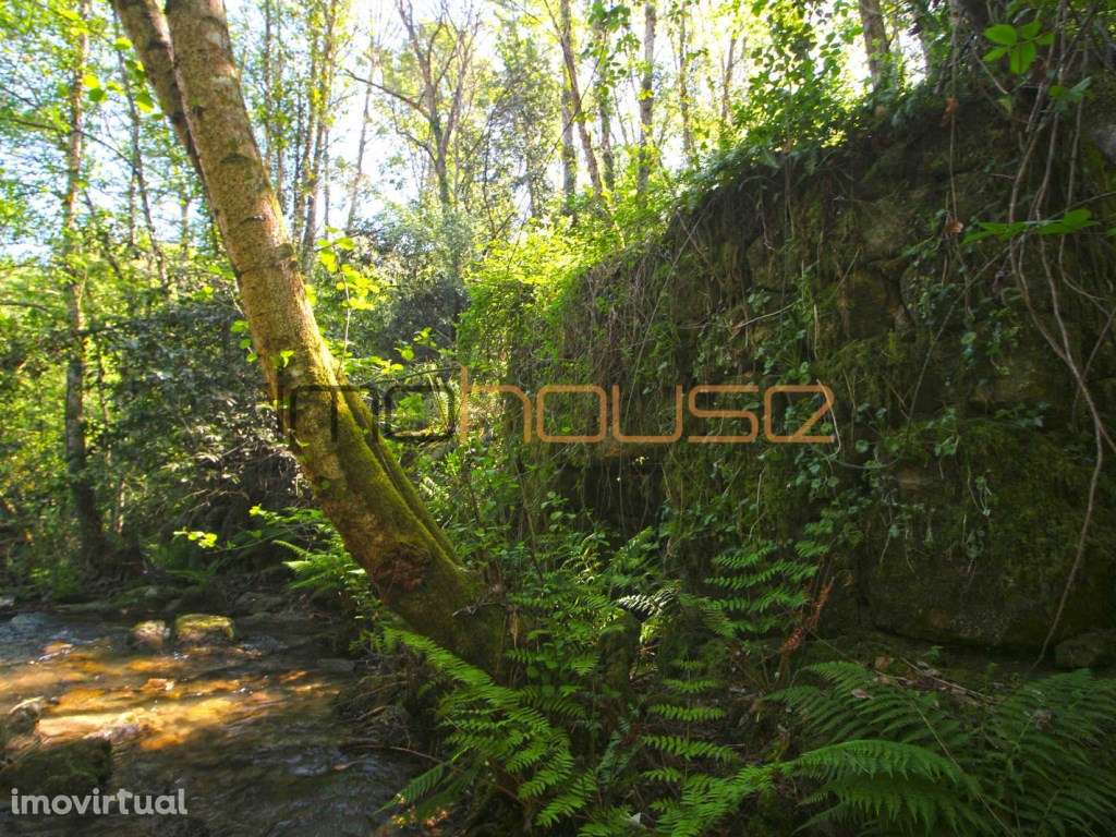 Quinta de 5.6 ha - Varias edificações, ribeiro e vista Douro - Grande imagem: 4/38