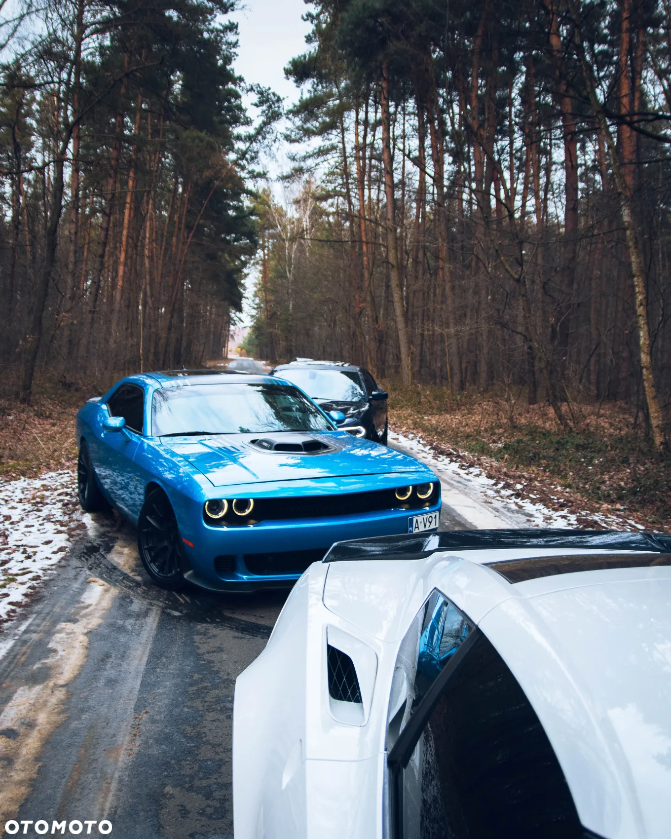 Dodge Challenger Automatik R/T Plus Shaker - 30