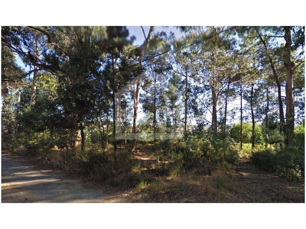 Terreno em Oliveira de Azeméis - Grande imagem: 3/6