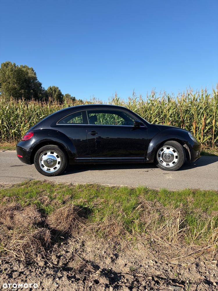Volkswagen Beetle - 2