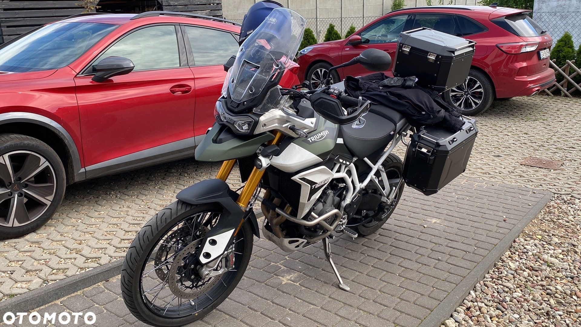Triumph Tiger - 1