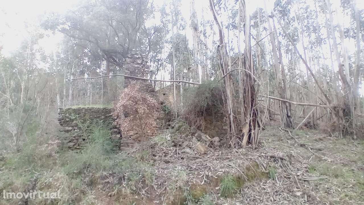 Ruína para Recuperar com Terrenos – Casal Agostinho Alves, Alvaiázere - Grande imagem: 4/6