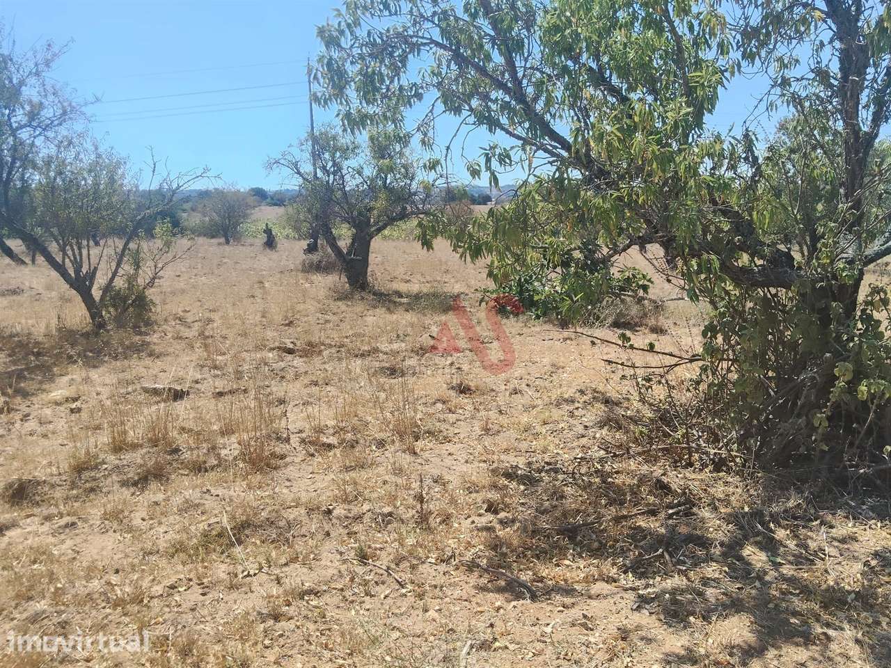 Terreno Rústico com 10.590 m² em Vale da Ursa, Guia – Albufeira - Grande imagem: 3/7