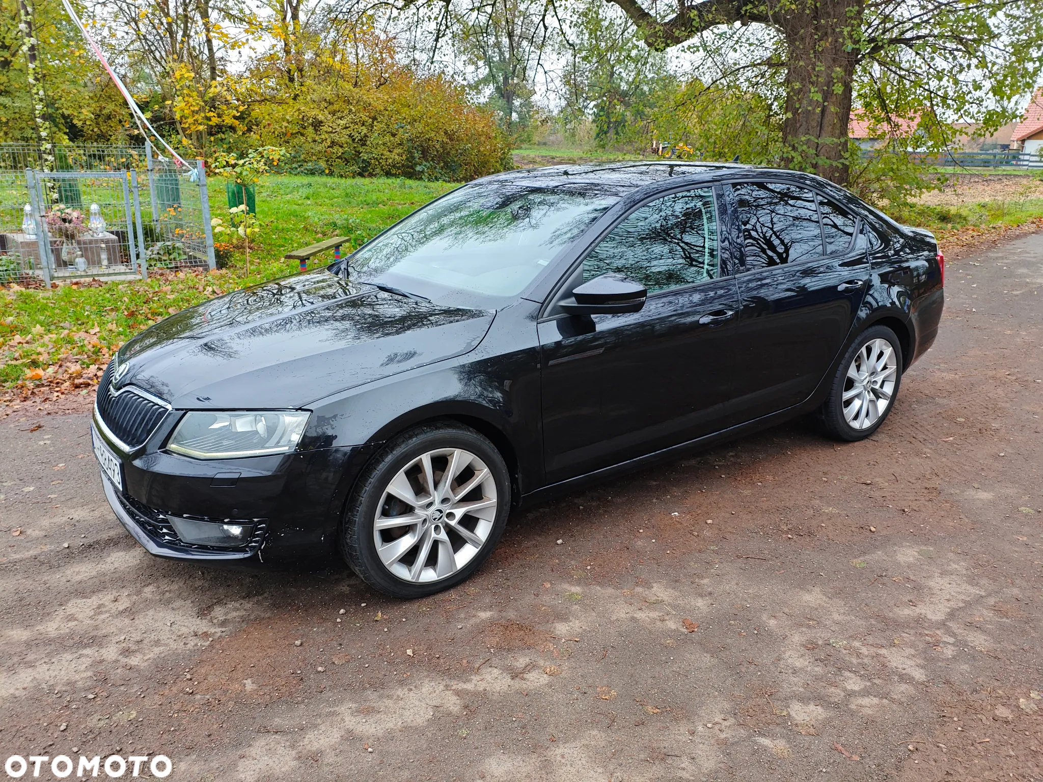 Skoda Octavia 2.0 TDI Ambition DSG - 2