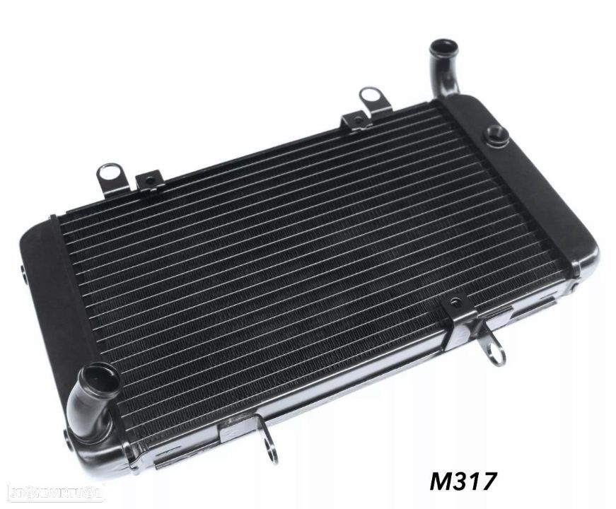 Radiador ,  HONDA CB1300 X4 1998 - 2003 - 1