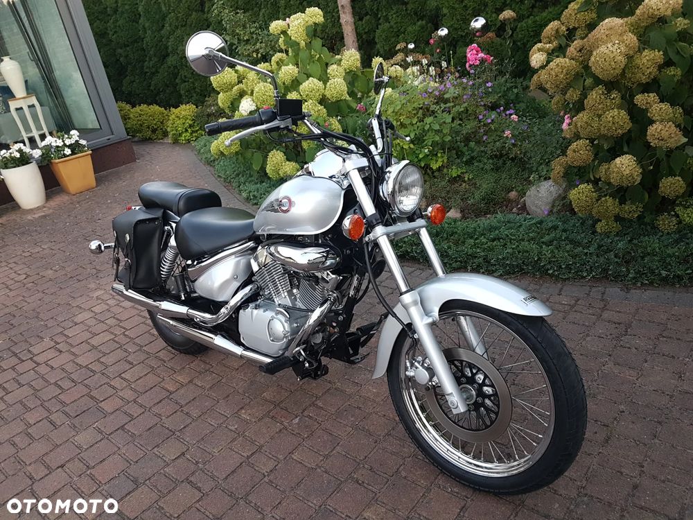 Suzuki Intruder - 9
