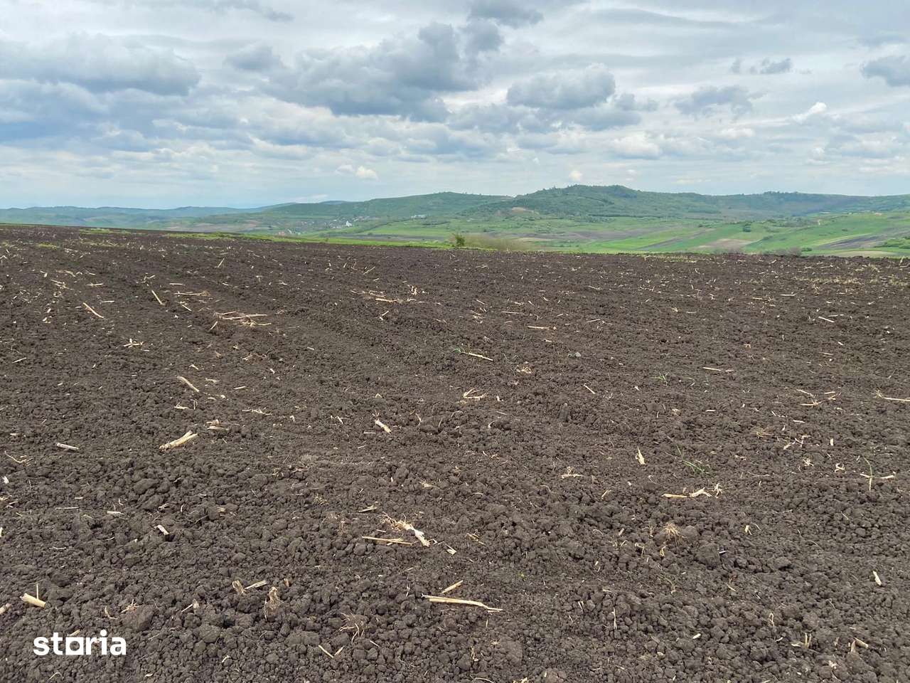 Teren extravilan, 10.200mp, Țagu - Imagine principală: 5/7