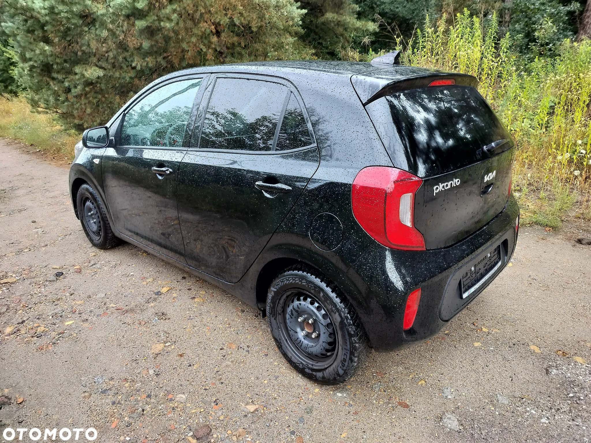 Kia Picanto 1.0 Dream-Team Edition - 5